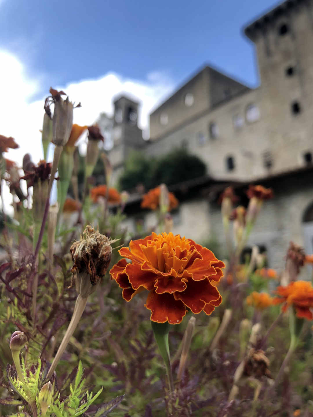 Castle