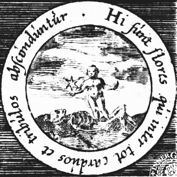 Isaac Holandus Filius